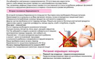 Полный путеводитель по использованию грушанки для успешного зачатия
