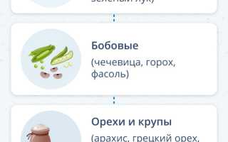 Фолиевая кислота: правда или миф о наборе веса?