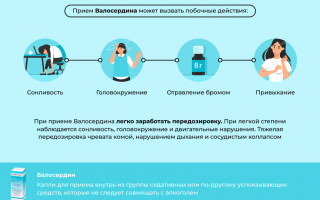 Действие, дозировка и противопоказания валокординa при похмелье