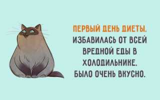 Шутливая диета: прикольные стихи о похудении с юмором