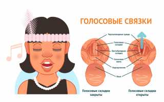 Причина появления гнусавого голоса после насморка и эффективные способы его устранения