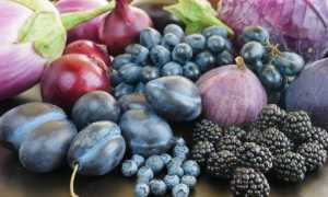 Чем полезны фиолетовые продукты для организма человека