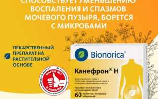 Преимущества применения Канефрона при молочнице и его эффективность в лечении данного заболевания.