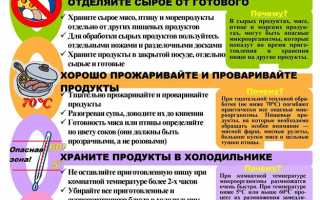 Эффективные методы лечения и профилактики кишечной палочки: основные правила и рекомендации