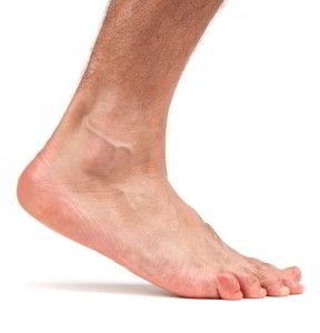 Стопа человека Стопа человека