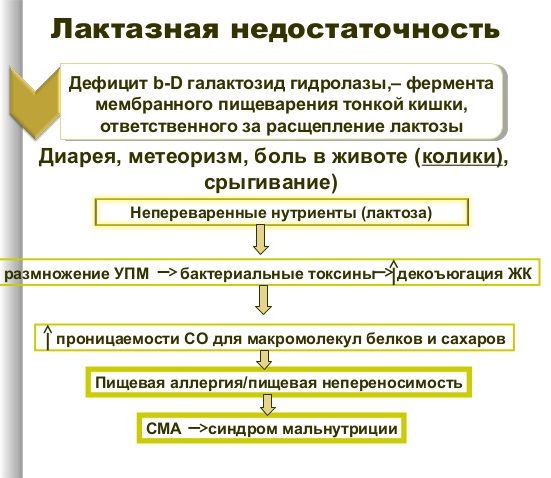 Лактазная недостаточность