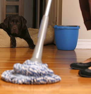 Профилактика и лечение недуга