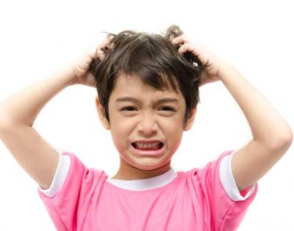 Симптомы педикулеза