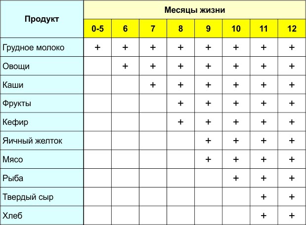 Кормление ребенка в 7 месяцев