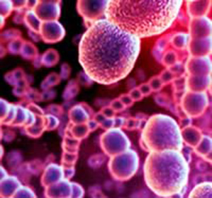 Инфекция - одна из причин патологии