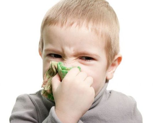 У ребенка не дышит нос