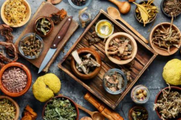 adaptogeny-rastitelnogo-proishozhdeniya-spisok