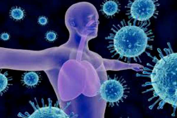 kak-ukrepit-immunitet-ot-koronavirusa-kak-povysit-immunitet-ot-koronovirusa