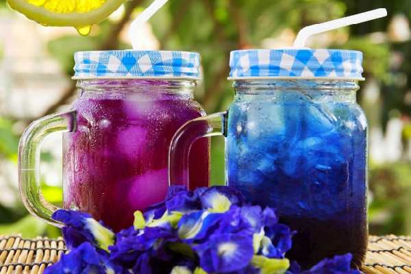 sinij-chaj-poleznye-svojstva-kak-zavarivat