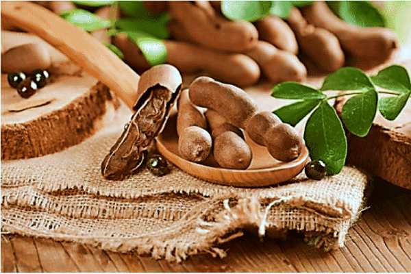 tamarind-chto-za-rastenie-poleznye-svojstva-i-protivopokazaniya