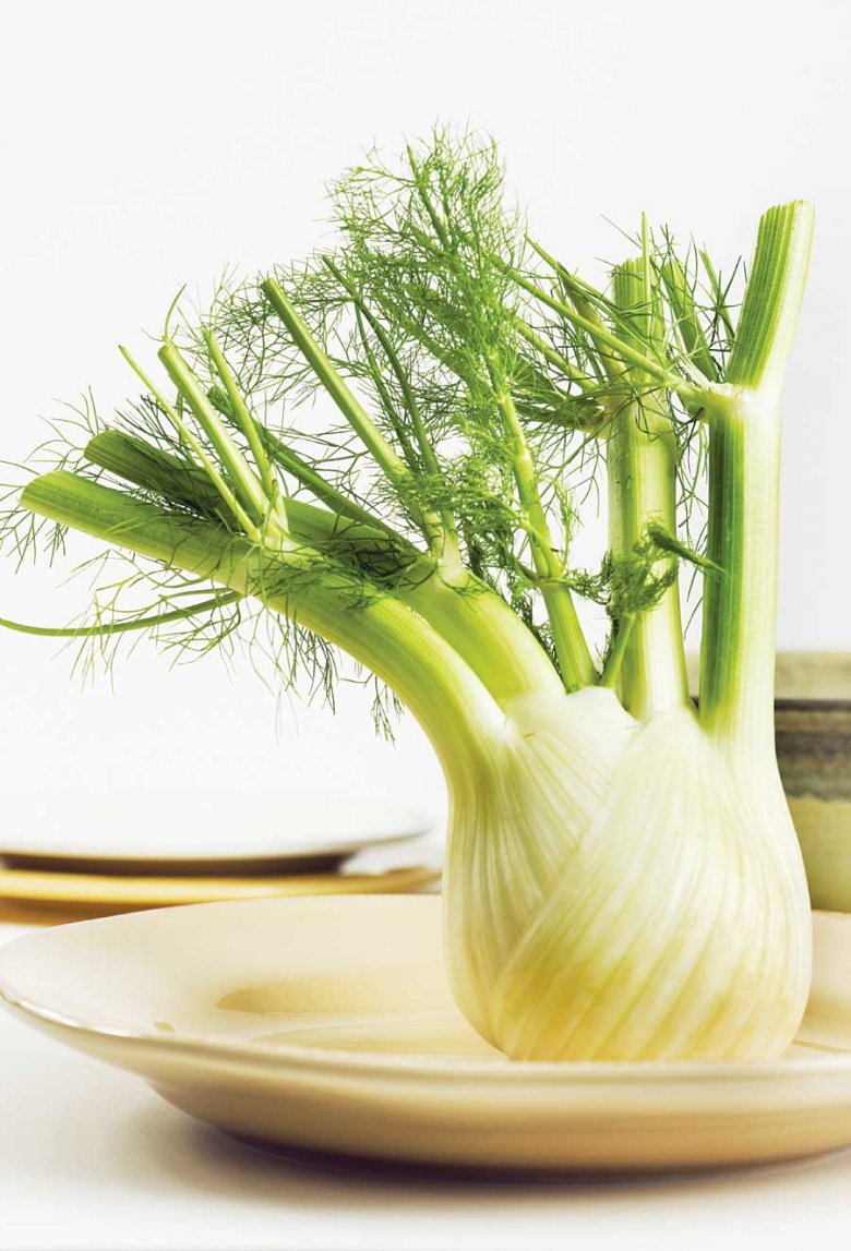 Фенхель фенхель