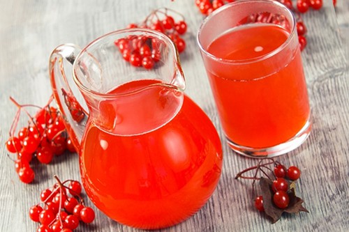 Сок из калины сок из калины