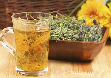 отвар полыни