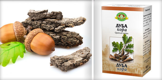 кора дуба