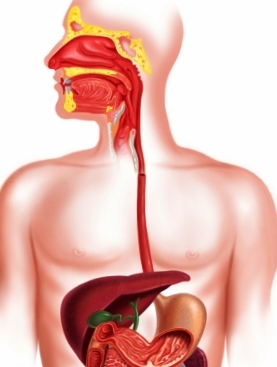 кандидоз пищевода