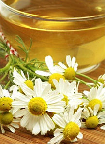 ромашковый чай