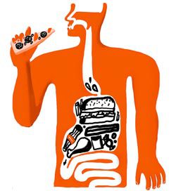 желудок с вредной едой