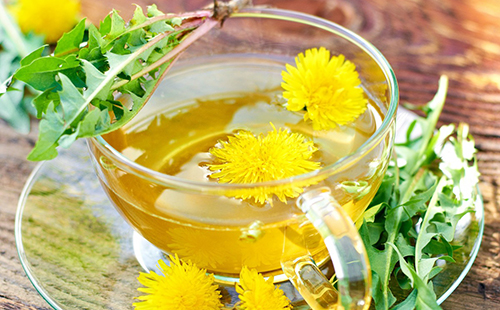 настои одуванчика