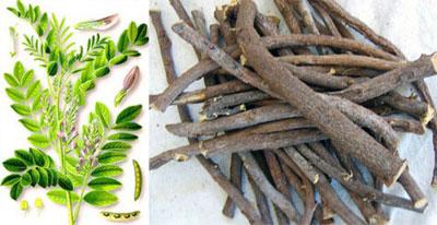 Корень солодки