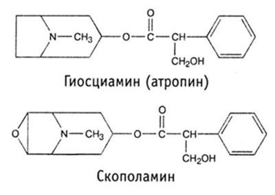Состав беладонны
