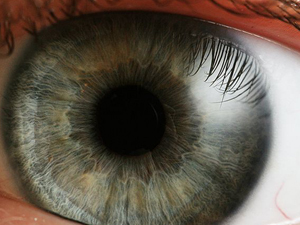 нормальный зрачок