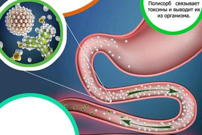 Действие полисорба