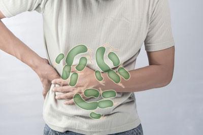 Бактерии в жкт