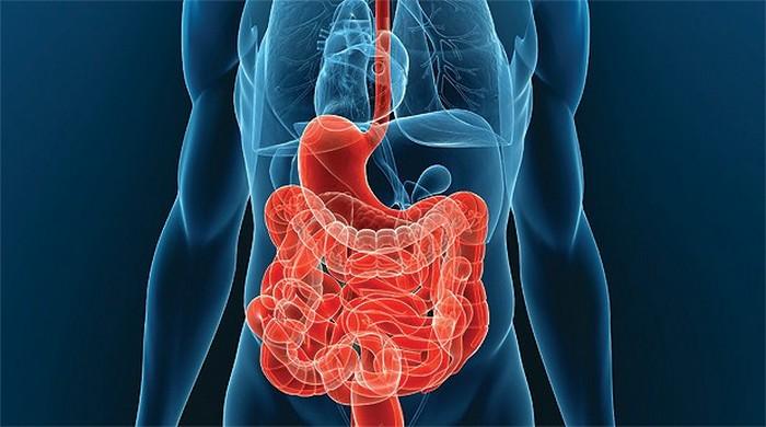 Медикамент вычищает стенки желудочно-кишечного тракта.