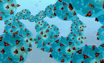 Структура энтеросгеля