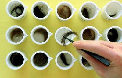 Волосы для лабораторного исследования