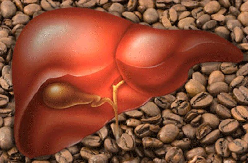 Влияние кофе на пищеварение