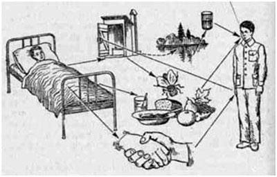 Пути заражения кишечной инфекцией