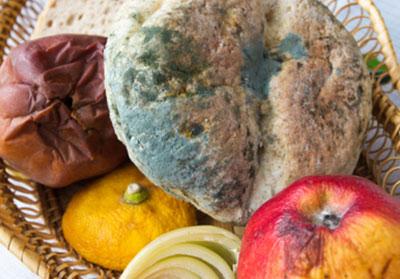 Испорченные продукты