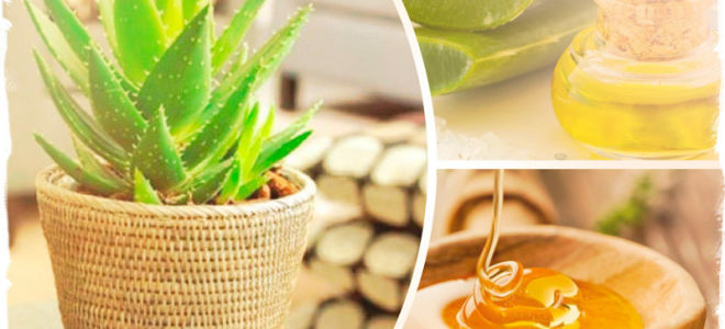 алоэ и мед для глаз