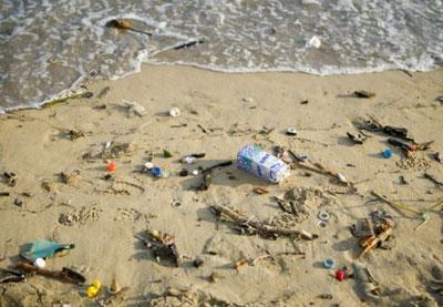 Грязный берег