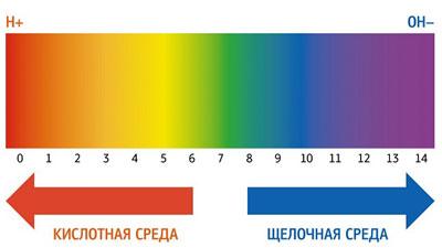 Шкала ph
