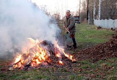 Сжигание сухих листьев