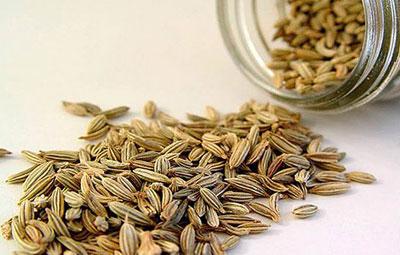 Семена укропа