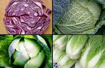 Сорта капусты