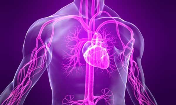 Проблемы с сердцем