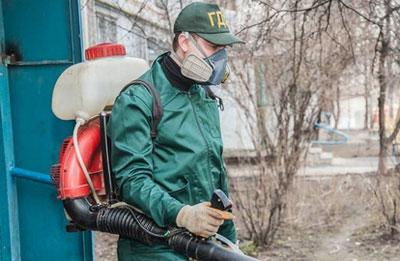 Борьба с грызунами