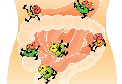 Микробы в кишечнике