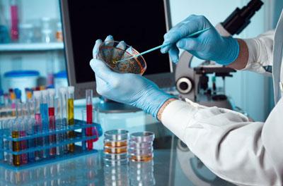 Анализ кала