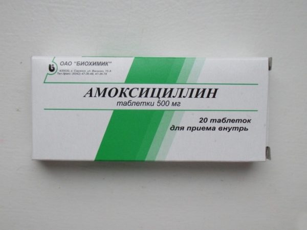 Amoksicillin_1_27095207-600x450.jpg