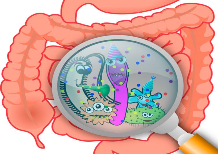 Кишечные инфекции